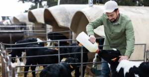 П’ять спільних факторів усіх чудових ферм