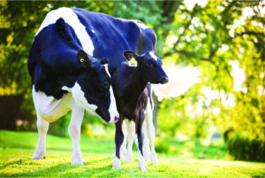 Зміни бази в характеристиках отeлення