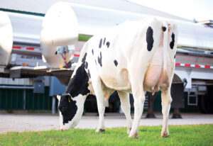 Швидкість молоковіддачі (MSPD)