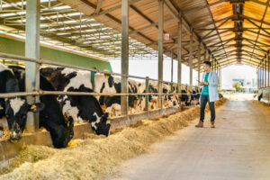 Робота з пайєтами – додаткова інформація