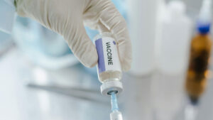 Обов’язкові щеплення та підготовка корови до отелення: повна інструкція