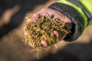 Фільтрат із силосу: як мінімізувати ризики для ферми, води та довкілля