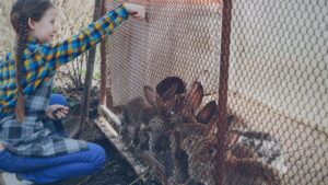 Кроляча ферма як бізнес: скільки коштує старт та коли окупиться